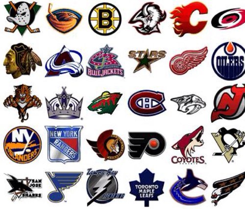 MN_PuckBunny's profile picture. I didn't choose the lifestyle, the lifestyle chose me.