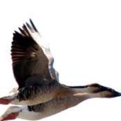 igdkwlr's profile picture. 일곱빛깔 무지개보다 더 아름다운 나라