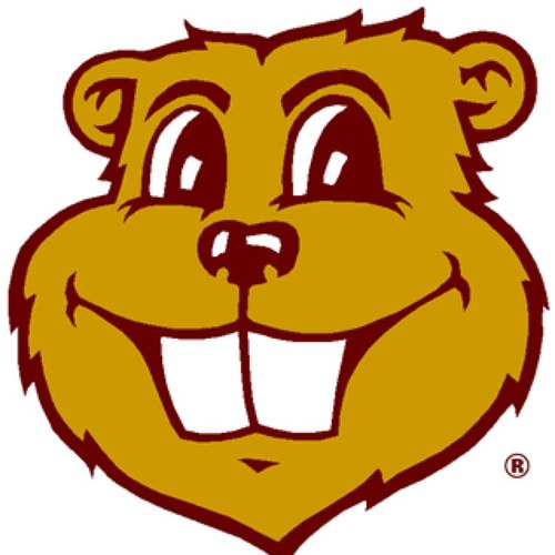 UMNprobs's profile picture.