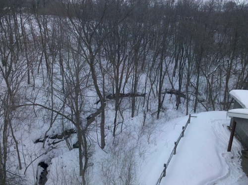 bhunter2433's profile picture. 