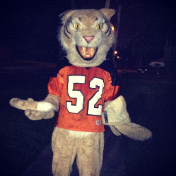 THE BEST MASCOT AROUND. 
Hailing from Winter Park High School in Winter Park, Florida.
Can't be beat! Go Cats!