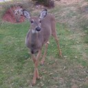 Cathy Peacock - @CathyPeacock4 - Twitter