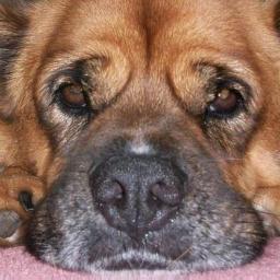 p3dquart's profile picture. 