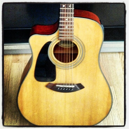 family man,song writer, guitarist