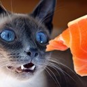 Ernest Beck - @Ernest_Beck - Twitter