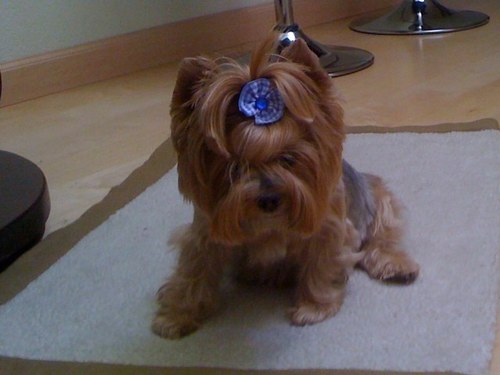 GeneStreet's profile picture. 