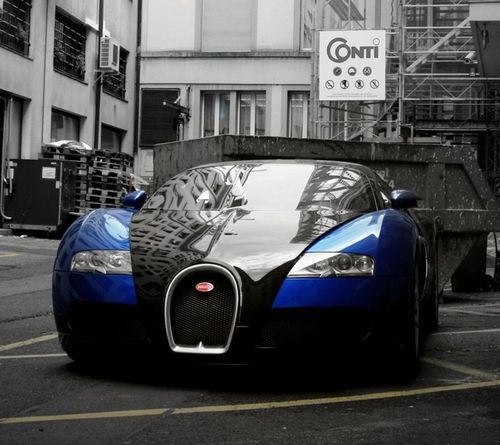 Lilwaynescuz's profile picture. Pay me BITCH™®©