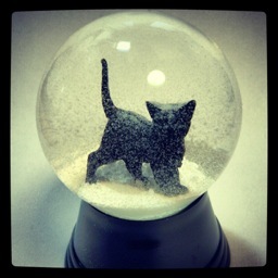 norikoprin's profile picture. スノードームマスター