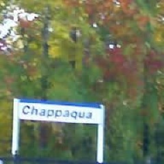 chappaquamarket's profile picture. Planning for the future......