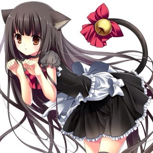 飛翔猫さんのプロフィール画像