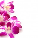 Chris Lavau - @ChrisLavau - Twitter