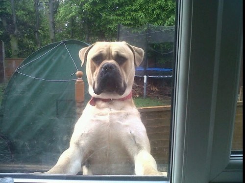 smallface74's profile picture. 