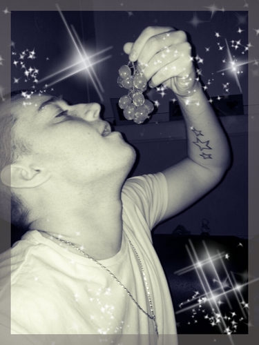 dojofitz's profile picture. 