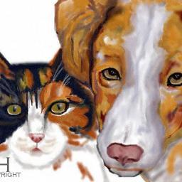 AASK (Animals Alone Society of Kindness Services) Animal & Children Advocate, Networking & Learning - Vulcan County Animal Rescue and Network