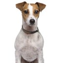 raul ruvalcaba j. - @raruji - Twitter