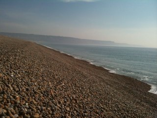 Pendavies's profile picture. 