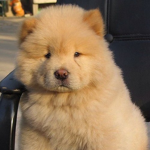 dawnbasstone's profile picture. 