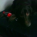 David Kyle - @david102004 - Twitter