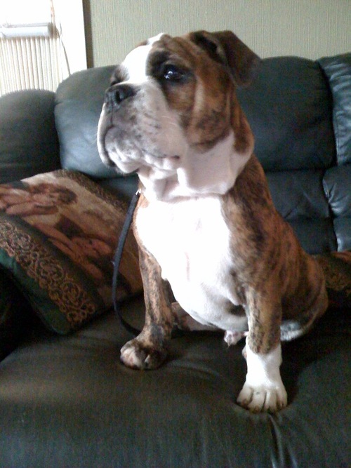 MikeGarcia73's profile picture. 