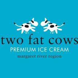 Artisan ice cream maker