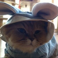 안광수 (@soullerss) 's Twitter Profile