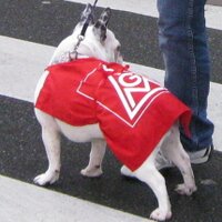 Rudi (@rudiv2a) 's Twitter Profile