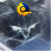 ぶるーきゃっつ (@Blue_Cats) Twitter profile photo