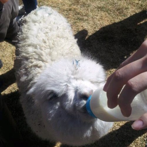 2h7ry's profile picture. 