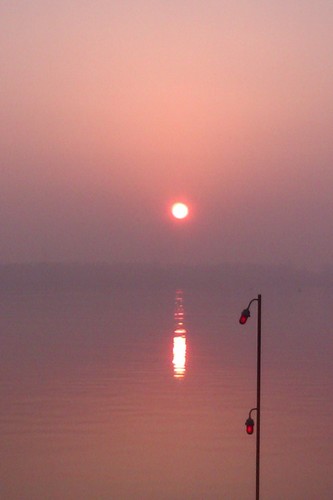 Greenpaul40Paul's profile picture. 