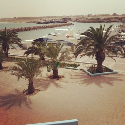 farfosha9's profile picture. عطني وطن يشبه لـ ضحكات ( جابر ) .. وأعطيك أنا أجمل سنيني بـ عهده .. ♥