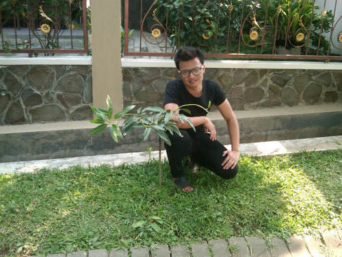 Kerja keras adalah kunci ϑAŗĭ sebuah kesuksesan