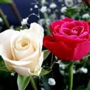 DIMPLE THOMAS - @dimputhomas - Twitter