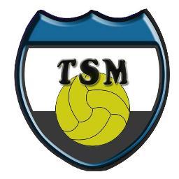 TSM_Futbol11's profile picture. Incombustible equipo de fútbol 11. Dando guerra un año más. Deportividad y esfuerzo hasta el final.