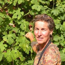 SZonneveld1's profile picture. Sei-jin laat je graag ervaren wat natuurlijke voeding met je kan doen! Alles is mogelijk met voeding verbonden met de natuur!