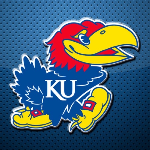 Jayhawks fan for life. Avid basketball fan. Rock Chalk Jayhawk! #kubball #kumcb #kufball
