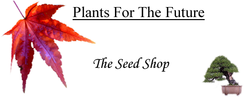 The_Seedshop's profile picture. 