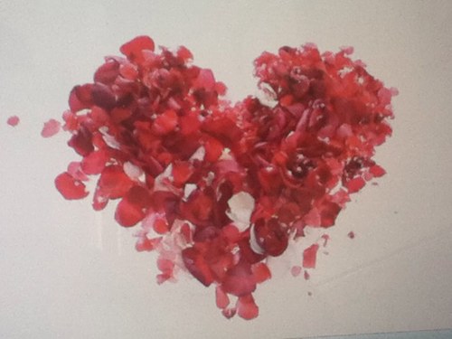 Mermaid_at_Sea's profile picture. 