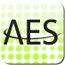 AES Global, Inc. Profile