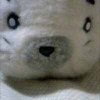 ちぇりー (@cherry_0314) 's Twitter Profile