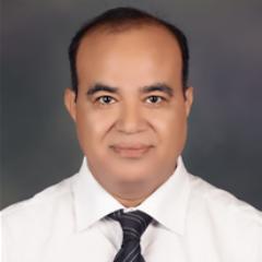 Financial Accounting, Bank Finance, Costing & Management Accounting, Business Plans Monthly-Annual-Rolling, Pre-Audits, SOP, Internal Audit, Company Law and SAP