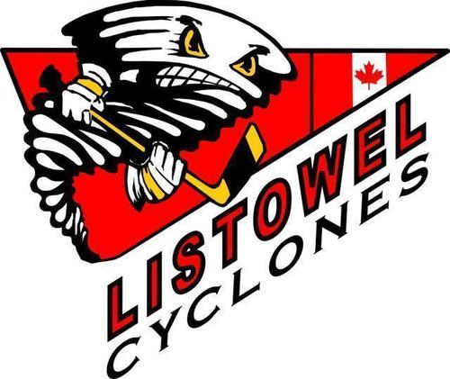 LMHAHockey Profile Picture