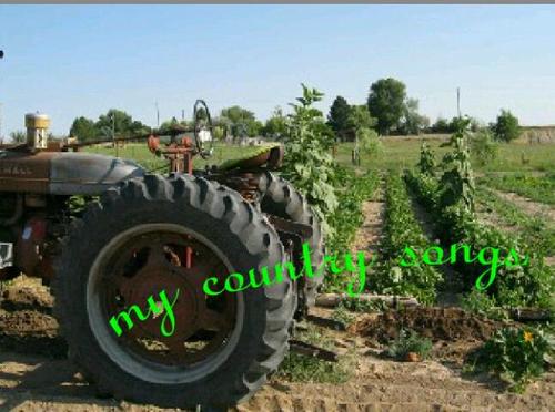 Im A blue collar hard working man I got country In my heart got a farmers tan proud to be from the USA Im American by birth Southern by grace