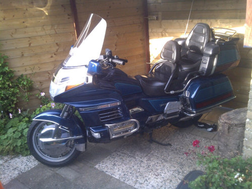 BeerTressel's profile picture. 