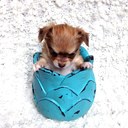 Minerva Vazquez - @Vazquezmine - Twitter