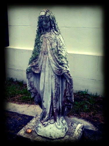 bamasweetie13's profile picture. Simple woman who loves living the traditional southern life with my family.  I love how everyday is an adventure and happiness is where we least expect it