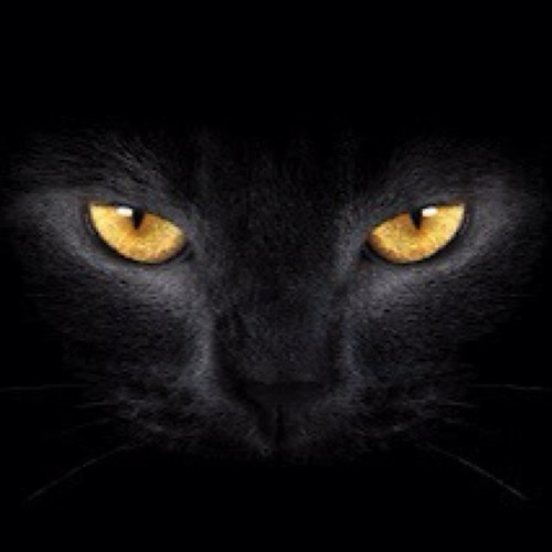 ermiyoha's profile picture. 