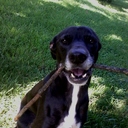 Kit Sanders - @KitSanders24 - Twitter