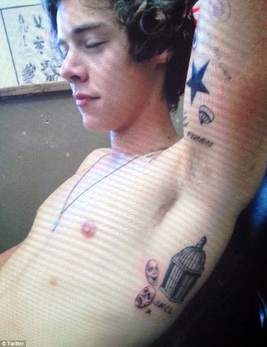 i'm ashley & @harry_styles dick taste like skittles
