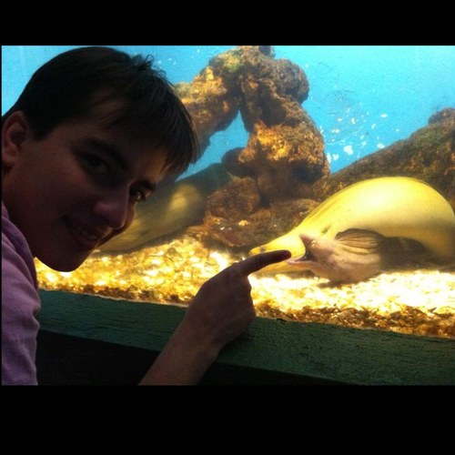 BSBarros11's profile picture. Started from the bottom now we way up, way up!