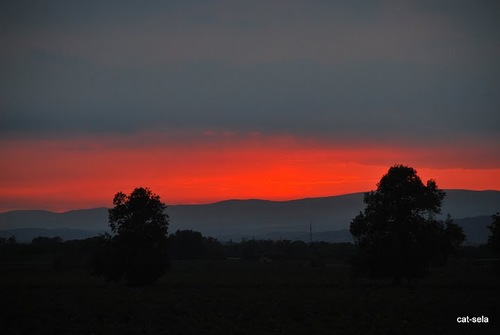 Strb8530's profile picture. huisarts in Groepspraktijk Harelbeke/voorzitter BO vzw Palliatief Netwerk Zuid-West-Vlaanderen/vader van 3/echtgenoot/basketter op rust/ levensgenieter